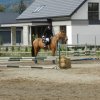 Babie Lato 2016